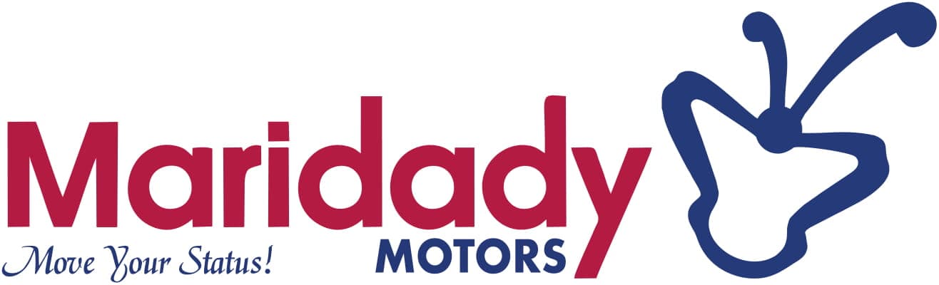 Partner Logo